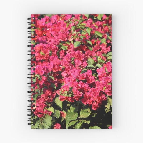 Item preview, Bougainvillea designed and sold by Zosimus.
