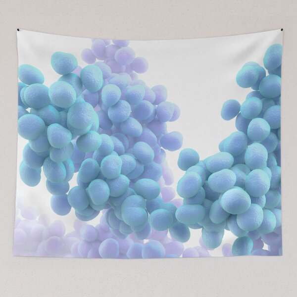 Item preview, Bacteria designed and sold by MDeAngelis.