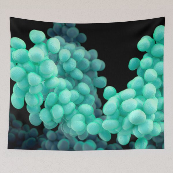 Item preview, Bacteria designed and sold by MDeAngelis.