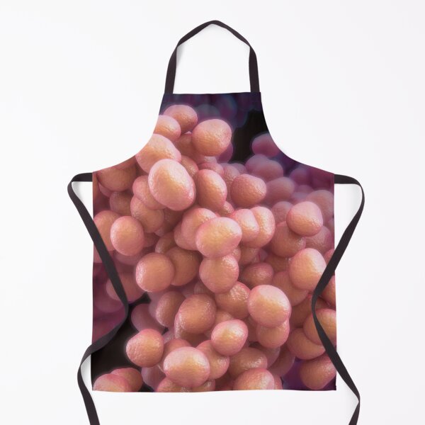 Item preview, Bacteria designed and sold by MDeAngelis.