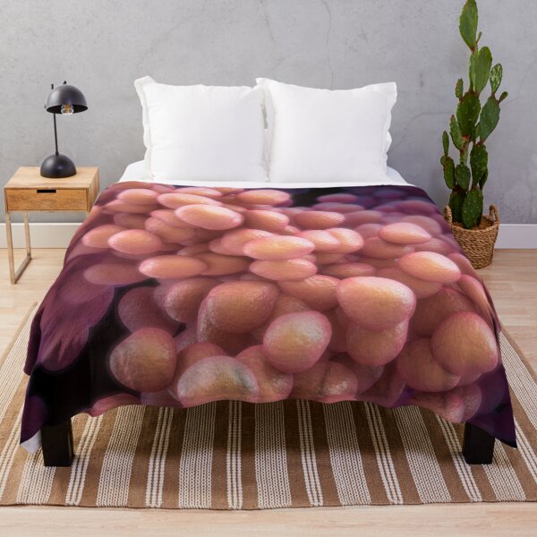 Item preview, Bacteria designed and sold by MDeAngelis.