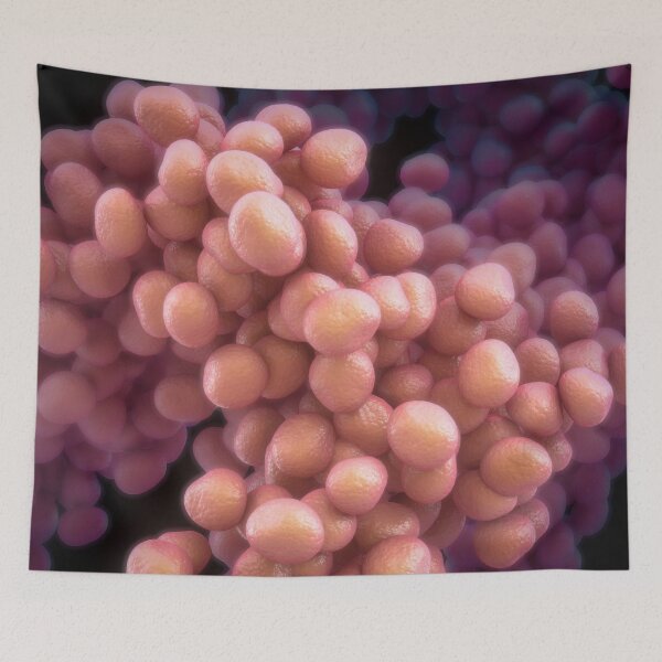 Item preview, Bacteria designed and sold by MDeAngelis.