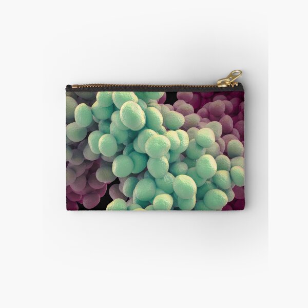 Item preview, Las bacterias designed and sold by MDeAngelis.