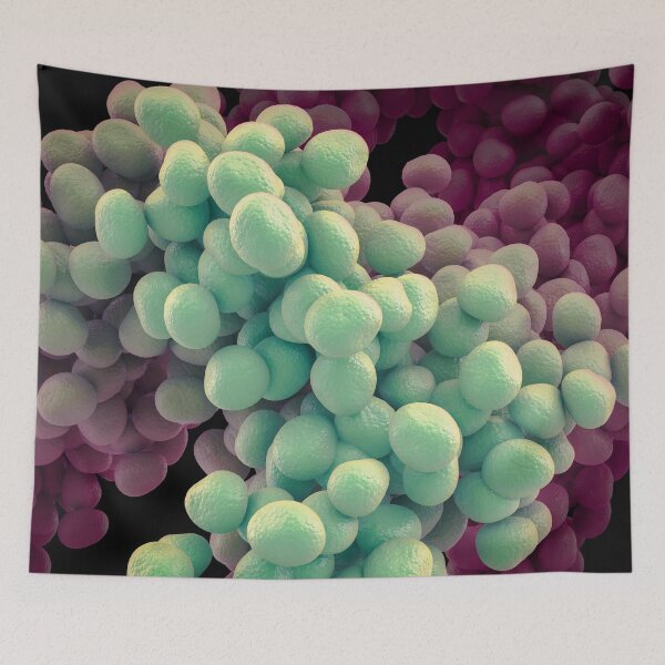 Item preview, Bacteria designed and sold by MDeAngelis.