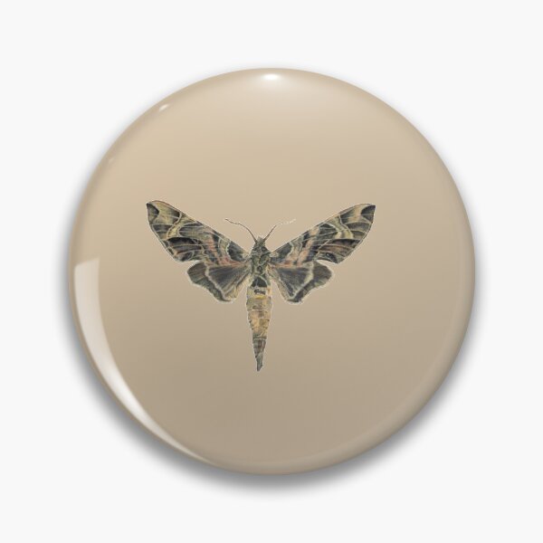 Item preview, Oleander Hawk Moth designed and sold by Sueburnsinsects.