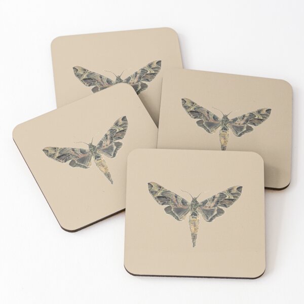 Item preview, Oleander Hawk Moth designed and sold by Sueburnsinsects.