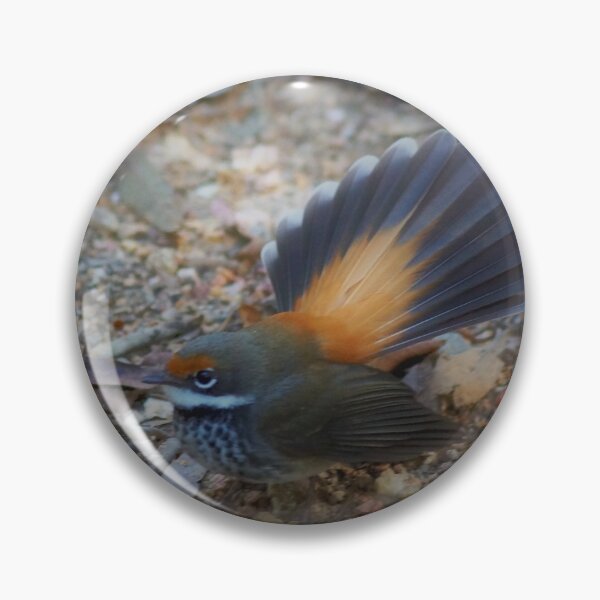 Item preview, Rufous Fantail designed and sold by Dragonsfield.
