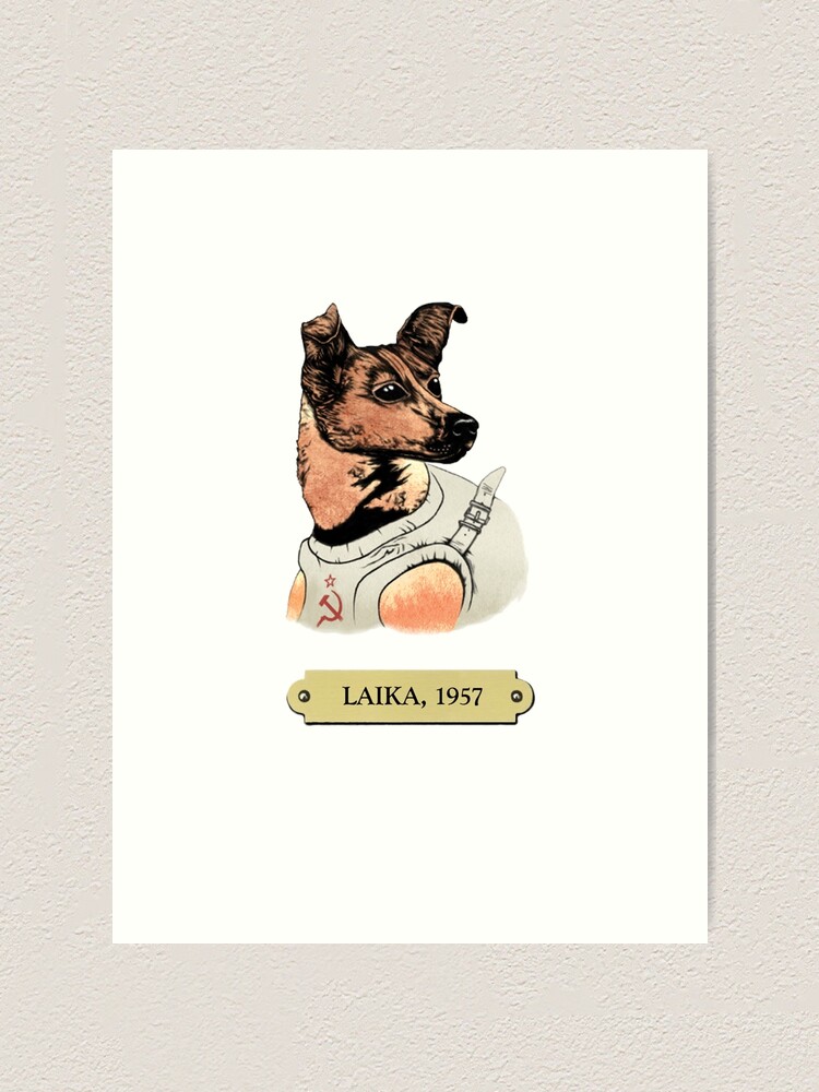 Laika: First animal in space orbit