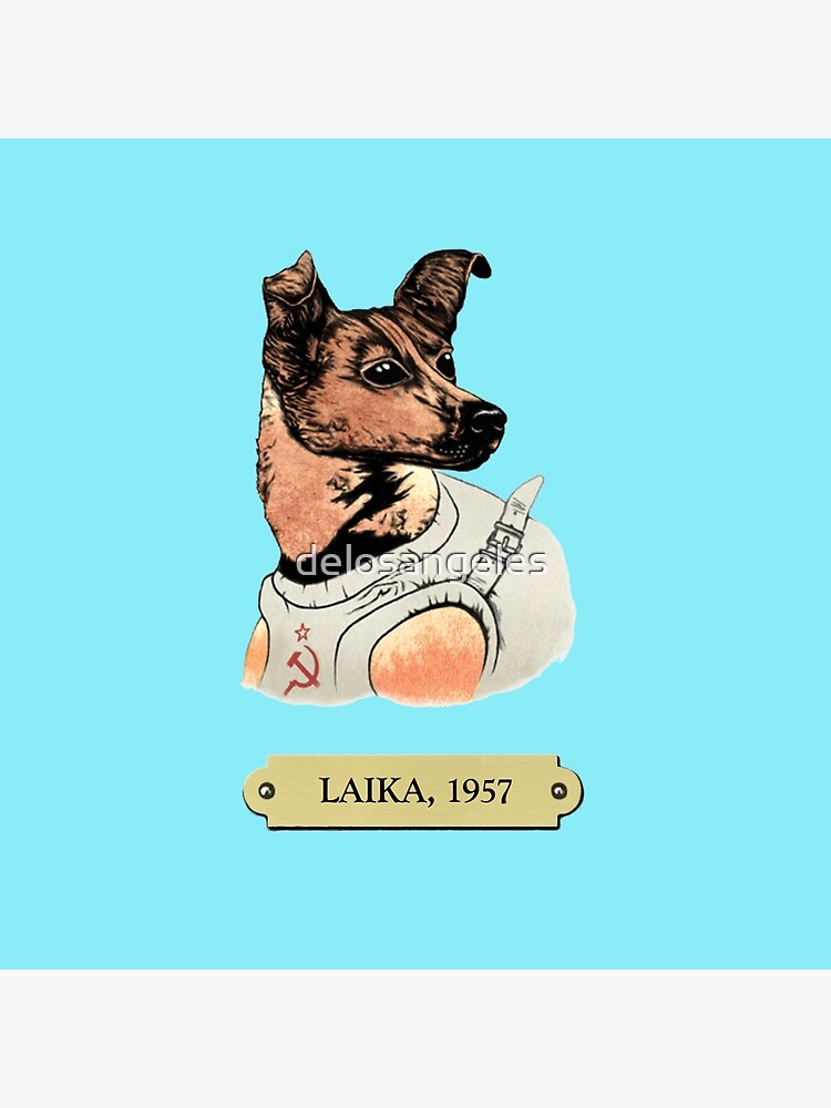 Laika: First animal in space orbit