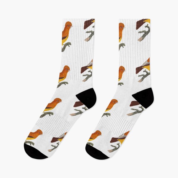 Item preview, Guianan cock-of-the-rock designed and sold by Photopicture.