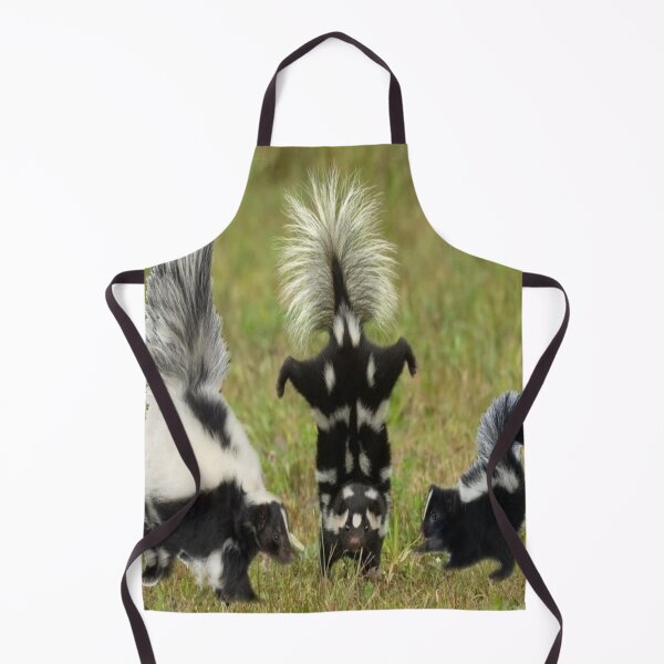 Item preview, Skunk fun designed and sold by BellsPainting.