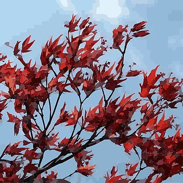 Artwork thumbnail, Maple Tree by GraceCreation