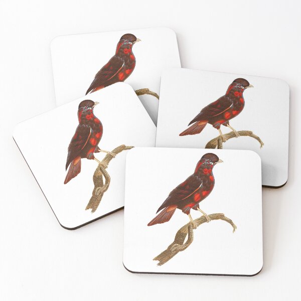Item preview, female Guianan cock-of-the-rock . designed and sold by Photopicture.