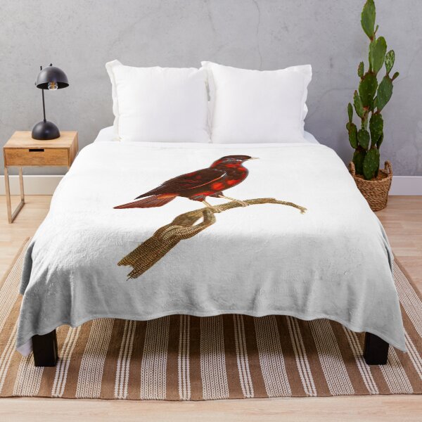 Item preview, female Guianan cock-of-the-rock . designed and sold by Photopicture.