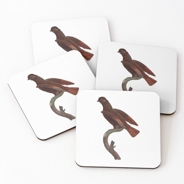 Item preview, female Guianan cock-of-the-rock . designed and sold by Photopicture.