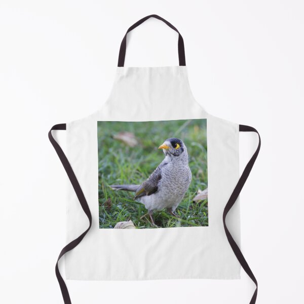 Item preview, Noisy Miner designed and sold by Dragonsfield.