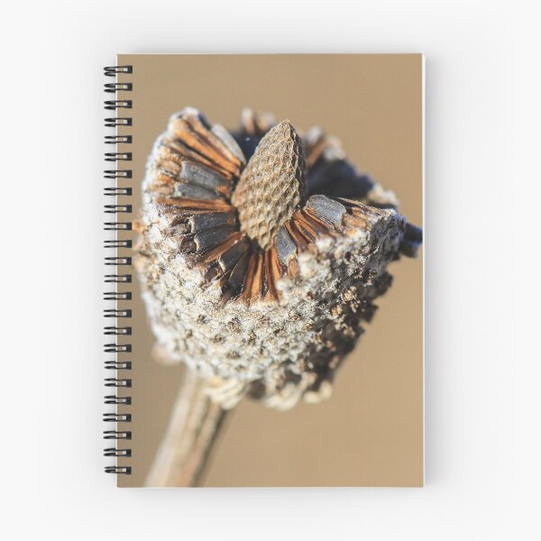 Item preview, Seed Pod designed and sold by Gary Horner.