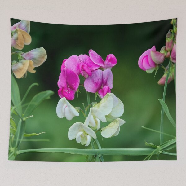 Item preview, China Latifolius designed and sold by Irina Polyanskaya.