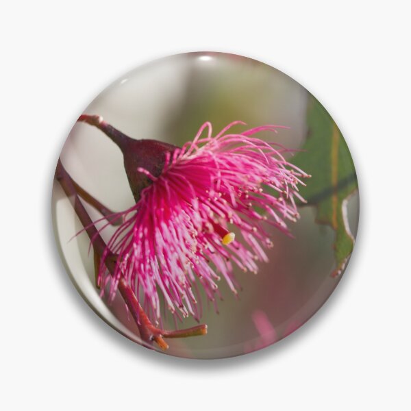 Item preview, Afternoon Glow - Gum Blossom designed and sold by Linda Lees.