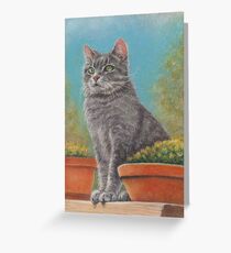 Cat with flower pots Greeting Card