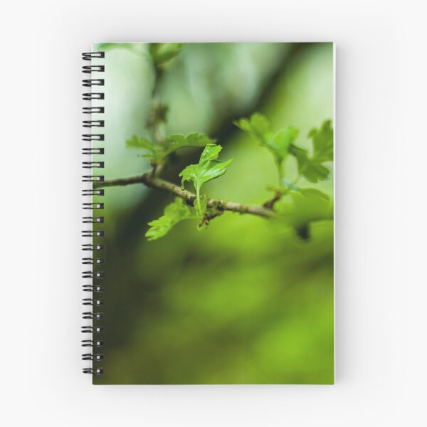 Artikelvorschau,  manchmal tauchen die kleinsten Dinge auf und fallen mir auf. entworfen und verkauft von TrevPackerPhoto.