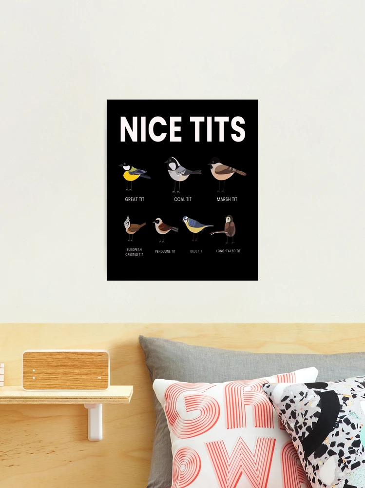 Nice Tits Bird Birds Watching Tit Nature #2 Round Beach Towel by Mooon Tees  - Pixels