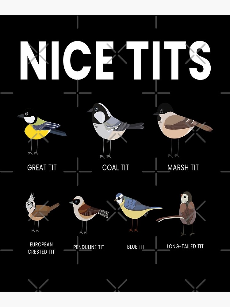 Nice Tits Bird Birds Watching Tit Nature #2 Round Beach Towel by