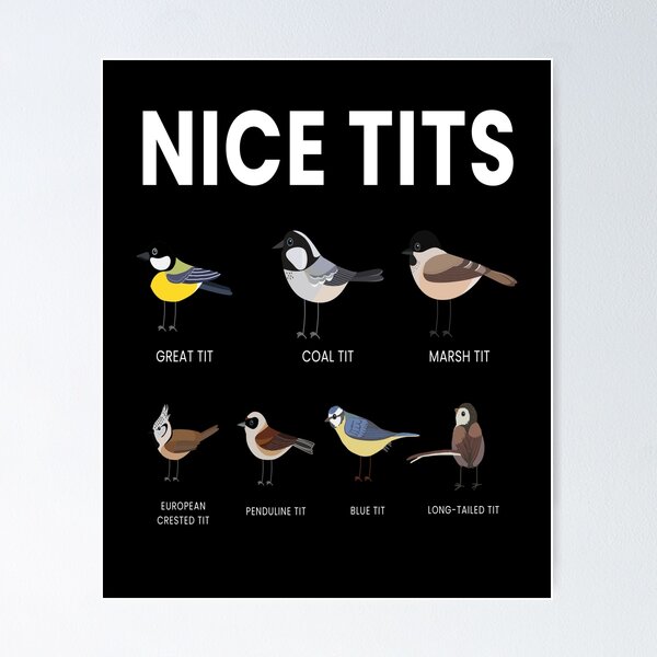 Nice Tits Bird Birds Watching Tit Nature #2 Round Beach Towel by Mooon Tees  - Pixels