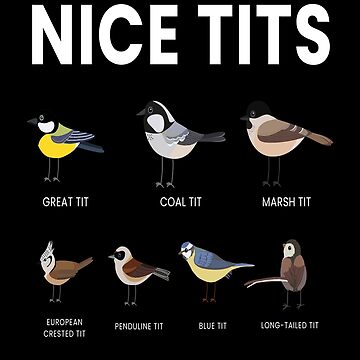 Bird Memes Im Just Here Tits Stock Photo 1175098246