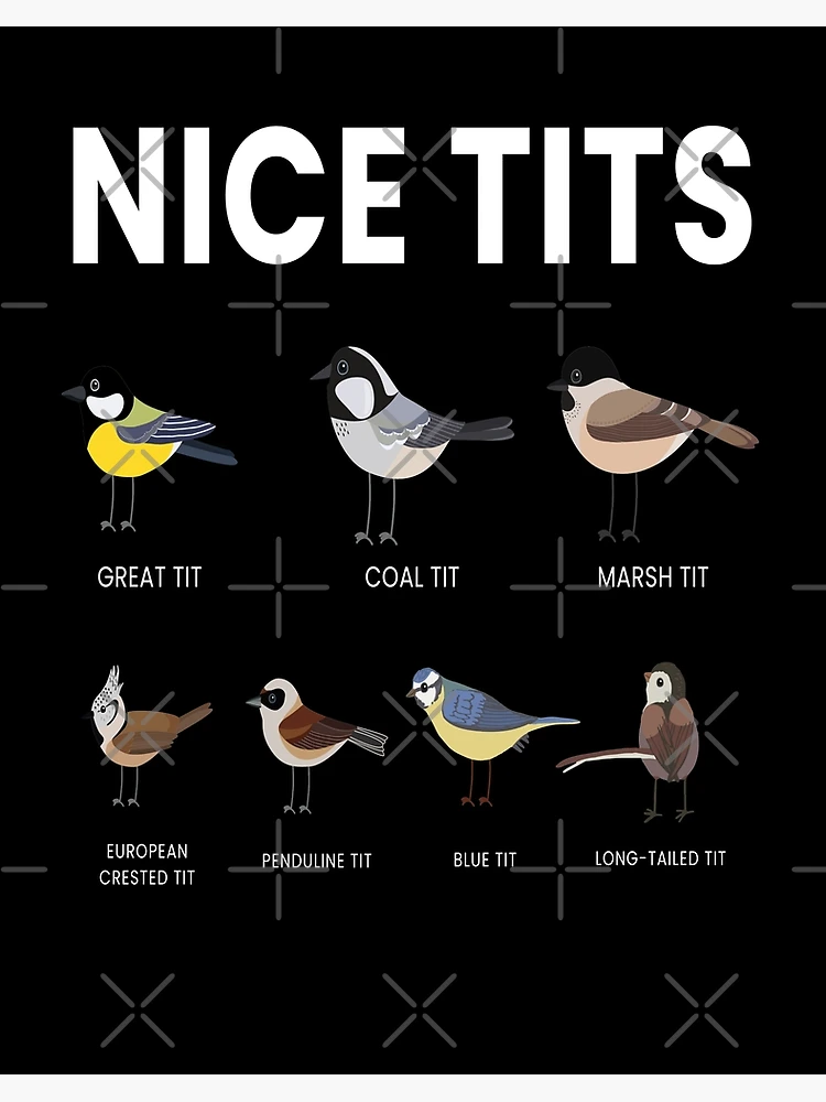 Nice Tits Bird Birds Watching Tit Nature Art Board Print by mooon85