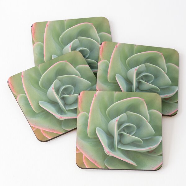 Item preview, Echeveria Cactus Green Pink Leaves Closeup designed and sold by worldways.
