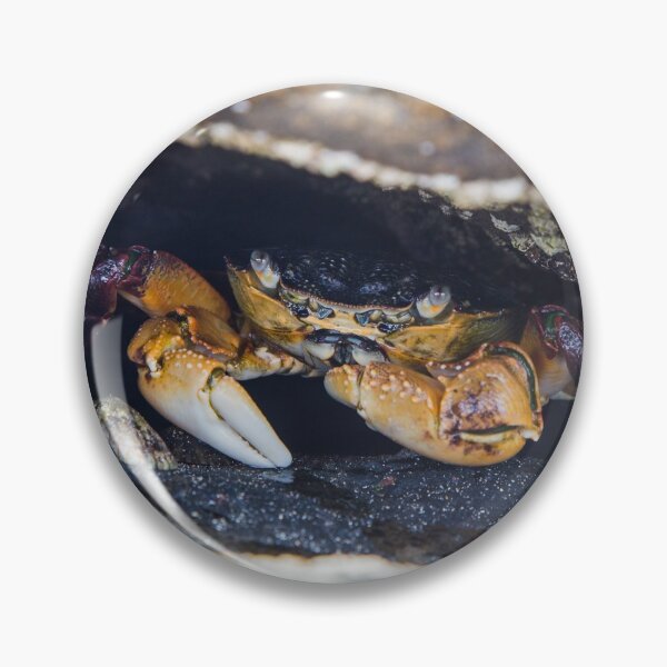 Item preview, Crab in a hole designed and sold by shaynetwright.