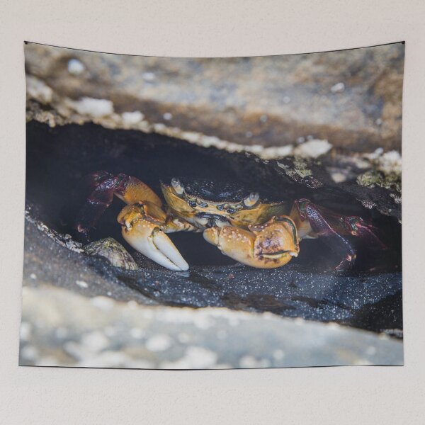 Item preview, Crab in a hole designed and sold by shaynetwright.