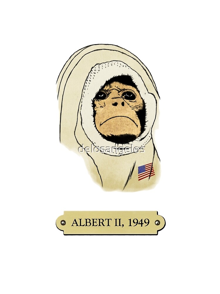 "Albert II: The first monkey in space" Art Print for Sale by