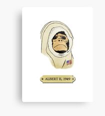 Albert II: The first monkey in space Metal Print