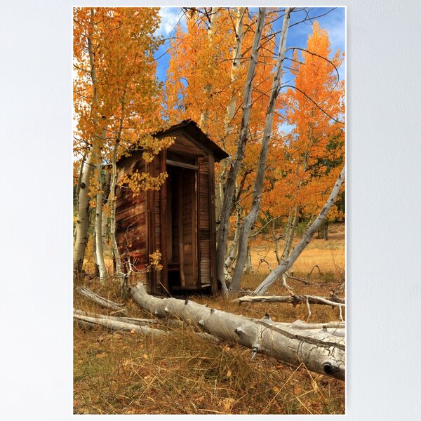 Item preview, Outhouse In The Aspens designed and sold by James Eddy.