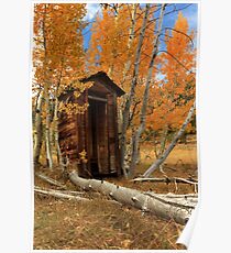 Outhouse In The Aspens Poster