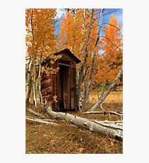 Outhouse In The Aspens Photographic Print