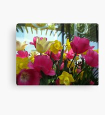 Spring colours Canvas Print