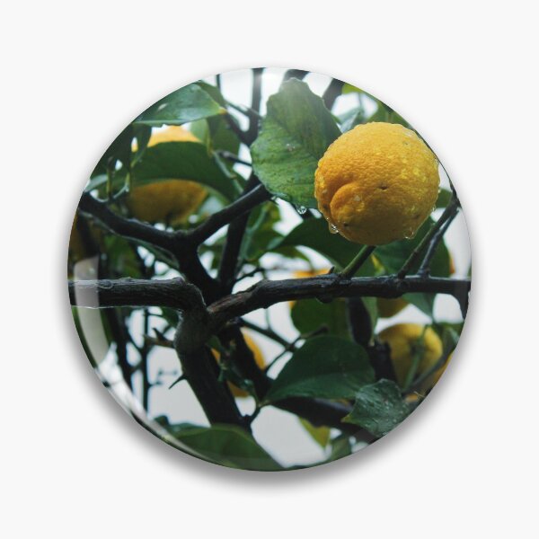 Item preview, Dewy Lemon Tree designed and sold by Wanderlora.