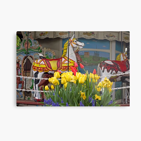 The Carousel Metal Print