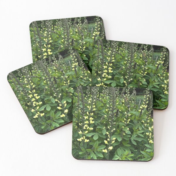 Item preview, Carolina Moonlight designed and sold by Leslie Montgomery Art.