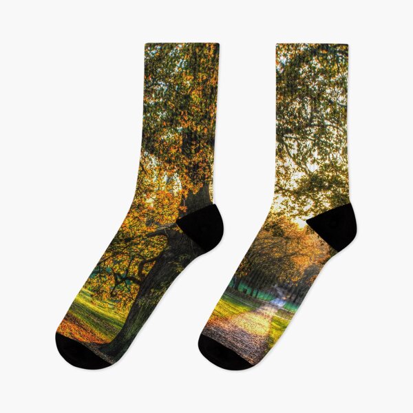 Item preview, Greenwich Park London designed and sold by Londonimages.