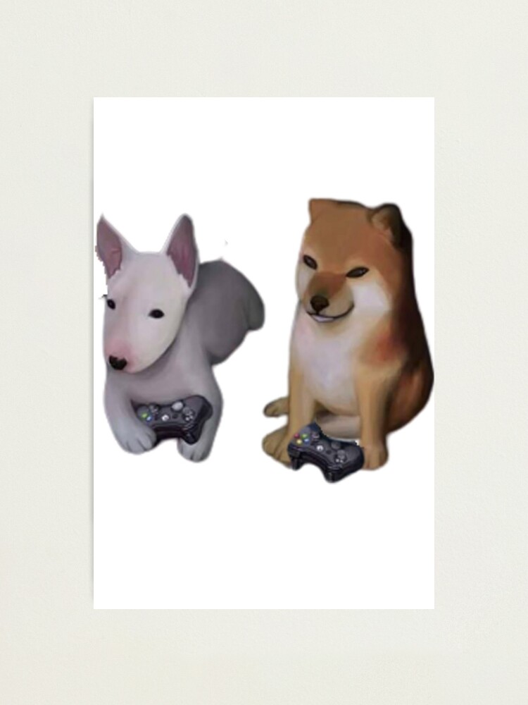 Lámina fotográfica «Walter The Dog And Cheems Chiba Inu Play Camisetas ...