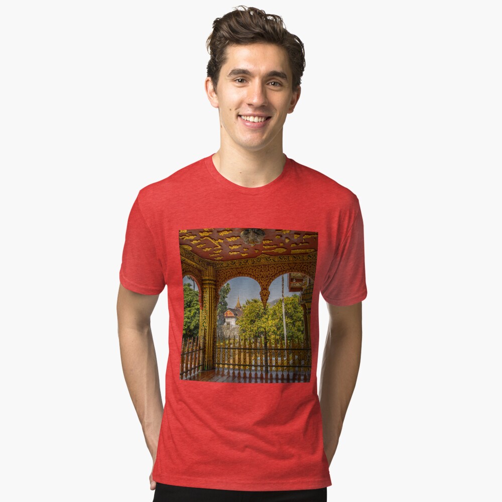 Item preview, Tri-blend T-Shirt designed and sold by vadim19.