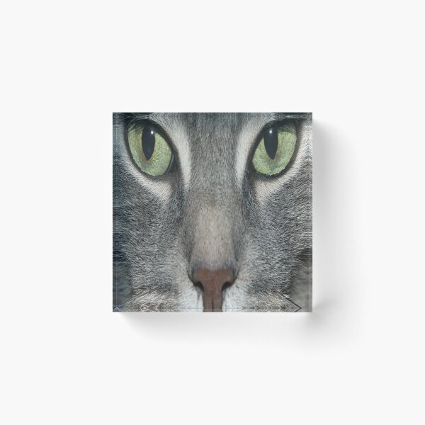 Item preview, Cat eyes image  designed and sold by 59SHOP24.