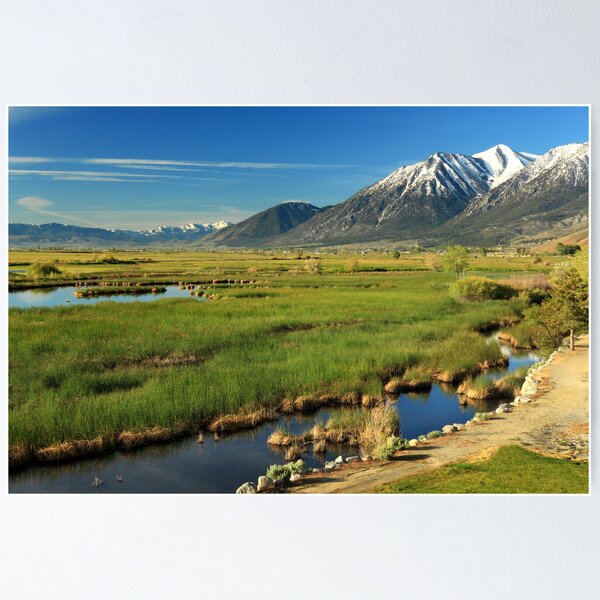 Item preview, Job's Peak Carson Valley designed and sold by James Eddy.