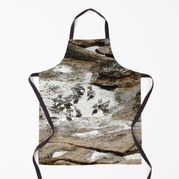 Item preview, Sandpipers Wader Birds Feeding in a Tide Pool designed and sold by Anna Lemos.