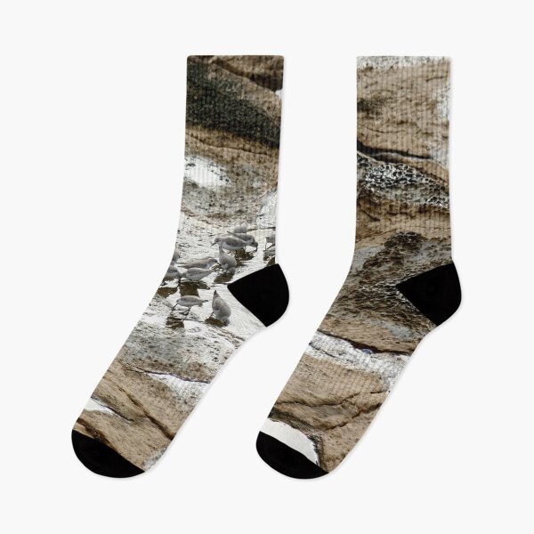 Item preview, Sandpipers Wader Birds Feeding in a Tide Pool designed and sold by Anna Lemos.