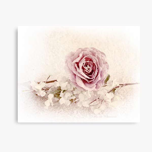 Soft summer Canvas Print